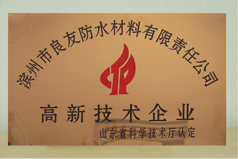 山东省高新技术企业